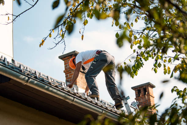 Best Residential Roofing Contractor  in Thompson, ND