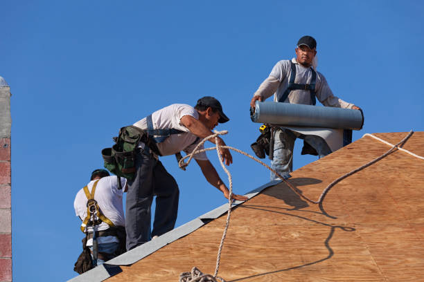 Best Roof Repair Services  in Thompson, ND