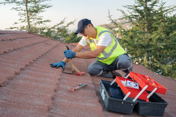 Roof Gutter Cleaning in Thompson, ND