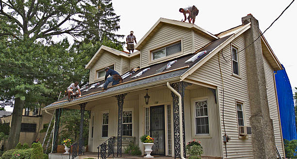 Best Roof Waterproofing Services  in Thompson, ND