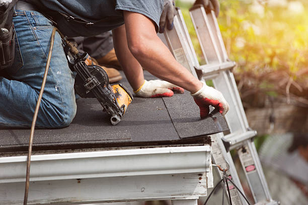 Best Emergency Roof Repair  in Thompson, ND