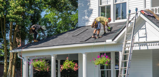 Best Gutter Installation and Roofing  in Thompson, ND