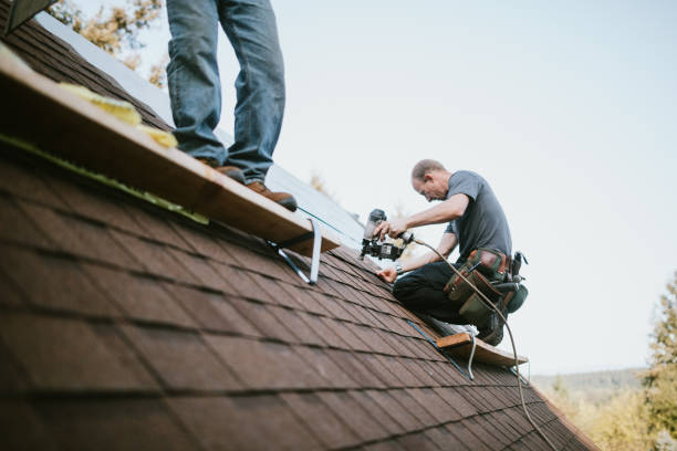Best Roof Leak Repair  in Thompson, ND