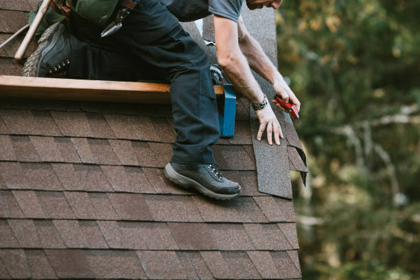 Best Roof Maintenance Services  in Thompson, ND